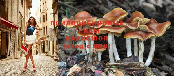 герыч Алзамай