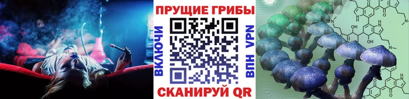 Галлюциногенные грибы Magic Shrooms  магазин  наркотиков  Злынка 